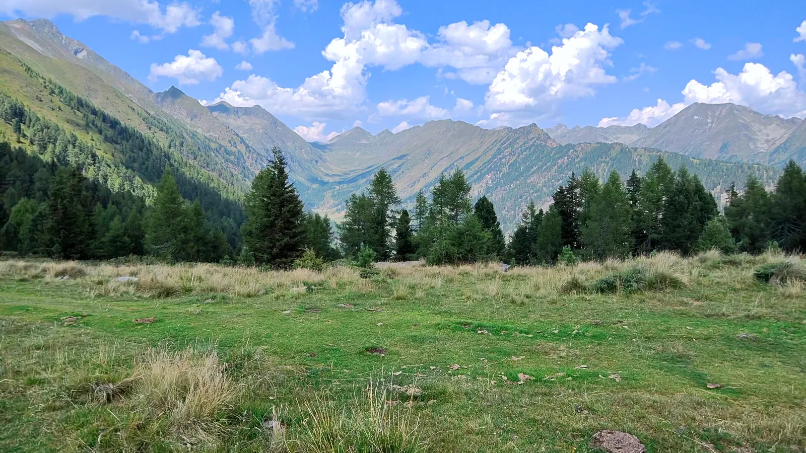 Alpine pasture with scattered pines and a panorama of Schladming Tauern peaks near the Grazer Hütte.