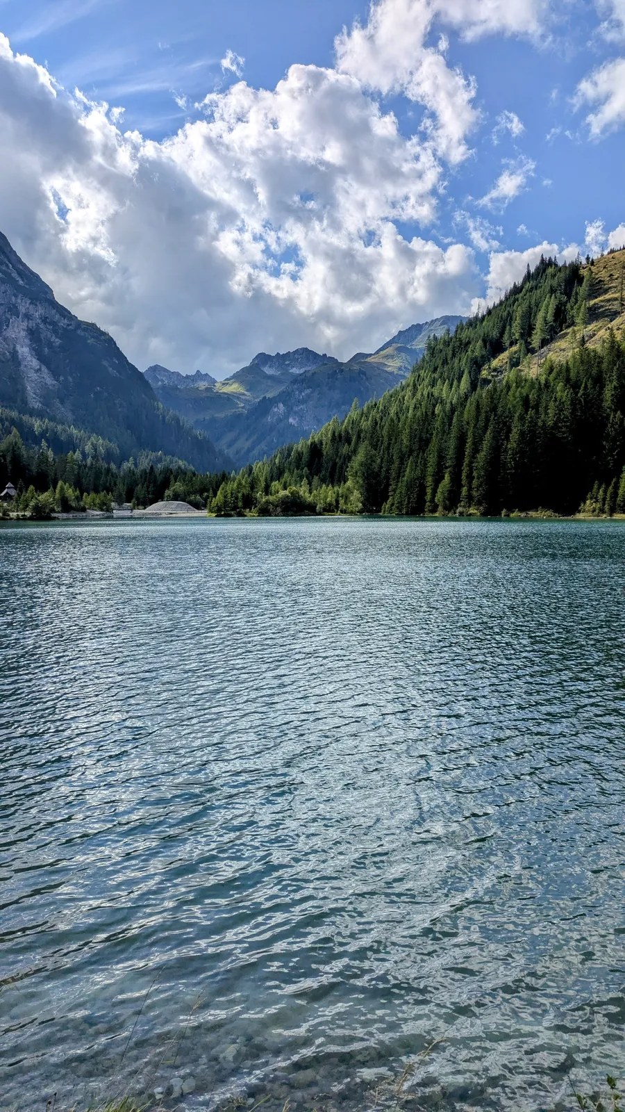 Vertical view of a mountain lake with forested shores
