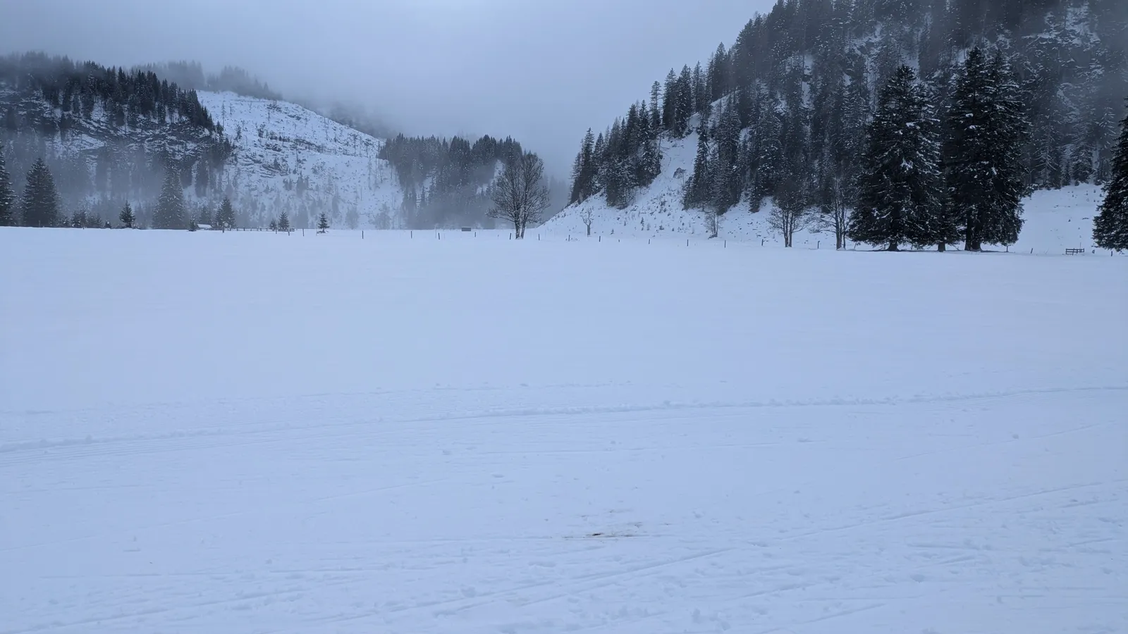 Wide snowy field near ski slopes and forest